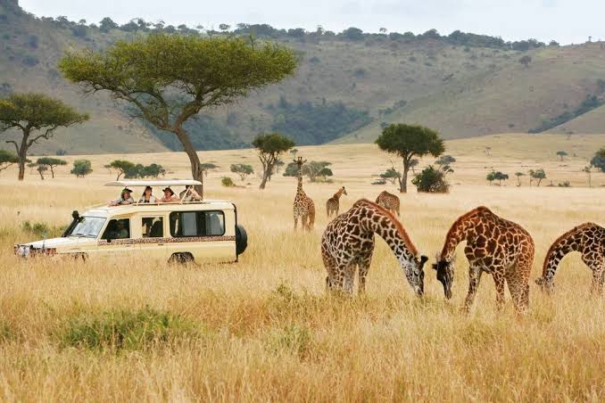 Kenya Safari Classic