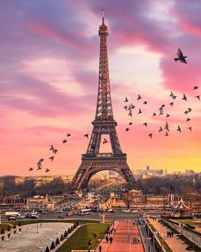 France Chic & Classic