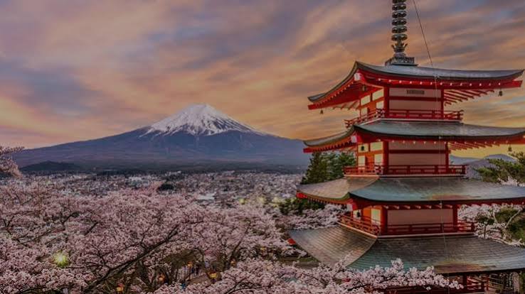 Japan Sakura Trail